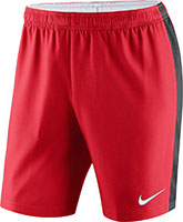 nike Venom shorts